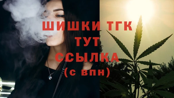 прущие грибы Абинск