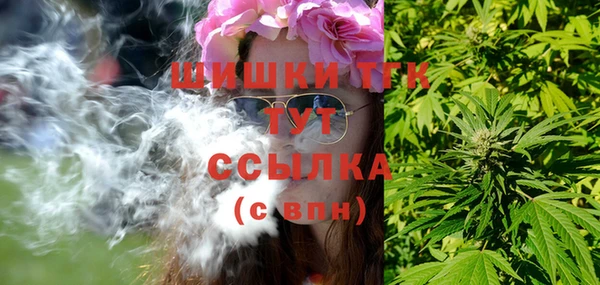 прущие грибы Абинск