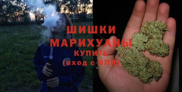 прущие грибы Абинск