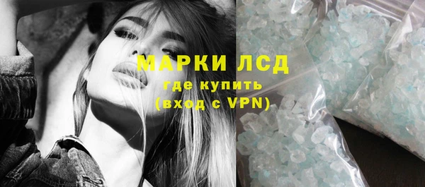 прущие грибы Абинск