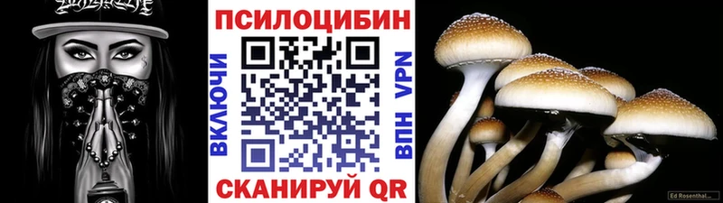 закладки  Холмск  kraken ONION  Галлюциногенные грибы Magic Shrooms 